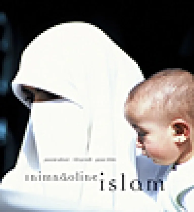 Inimnäoline islam – Jaan Tätte, raamatu kaanepilt