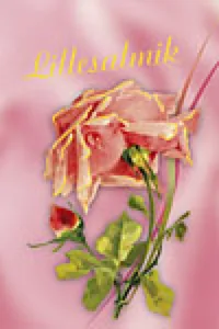 Lillesalmik – raamatu kaanepilt