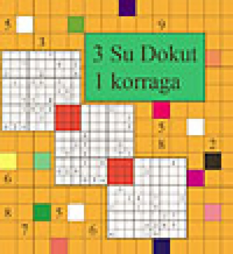 3 Su Dokut 1 korraga – raamatu kaanepilt