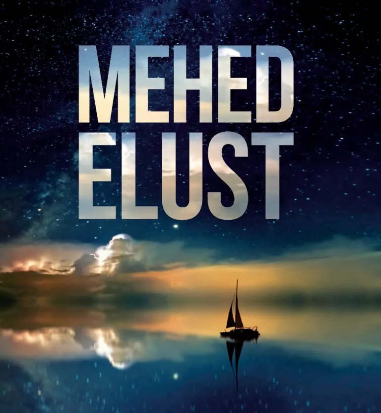 Mehed elust – Kersti Keva, raamatu kaanepilt